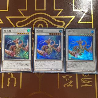 瑚之龍　スーパーレア　3枚❸