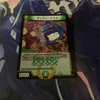 ダンディ・ナスオ C-foil