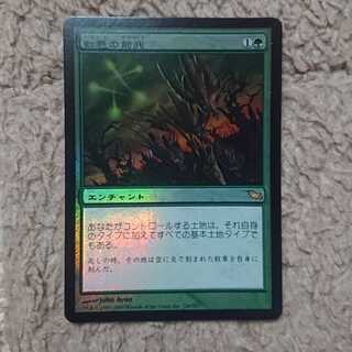 MTG 虹色の前兆 日本語 Foil