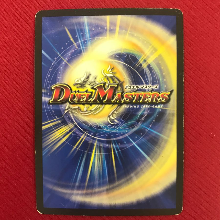 煌龍 サッヴァーク MDG