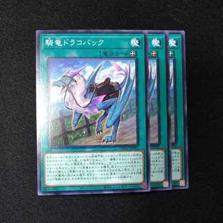 騎竜　ドラコバック