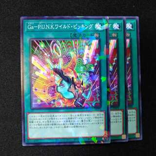 Ga-P.U.N.K. ワイルドピッキング