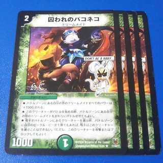 囚われのパコネコ　4枚【管理記号11】