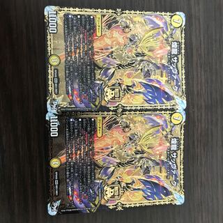 煌龍 サッヴァーク　二枚セット