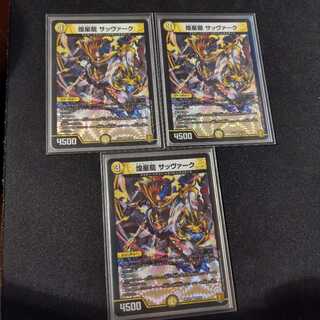 煌星龍 サッヴァーク