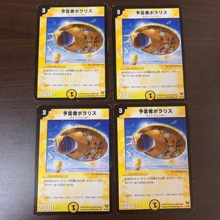 Divination Person Pola Squirrel