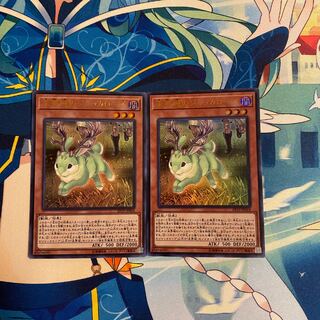 未界域のジャッカロープ　2枚