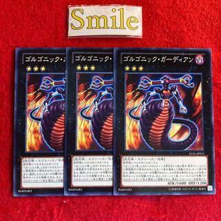 ゴルゴニック・ガーディアン#2642