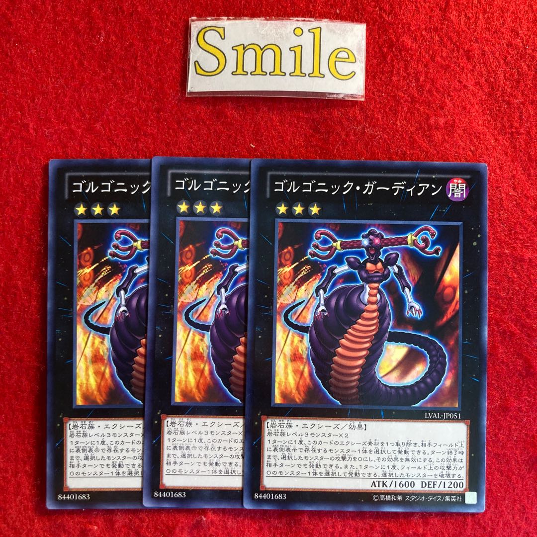 ゴルゴニック・ガーディアン#2645