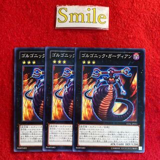 ゴルゴニック・ガーディアン#2645