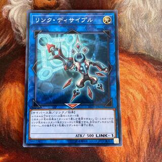 リンク・ディサイプル パラレル ノーマル