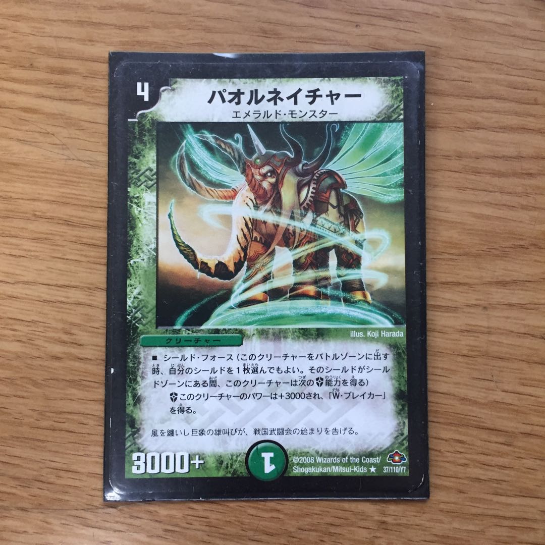 Paol Nature R 37/110/Y7