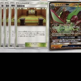 フライゴン 格闘道場セット