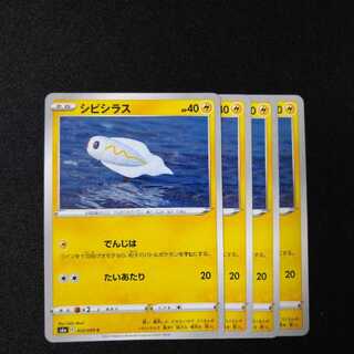 シビシラス　0030