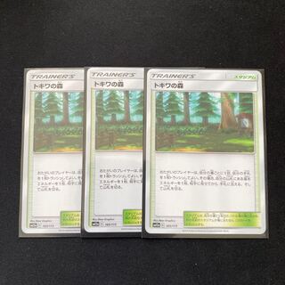 トキワの森 3枚