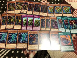 遊戯王 捕食植物 プレデタープランツセット