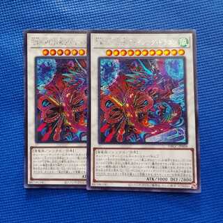 Uk-P.U.N.K.アメイジング・ドラゴン　シークレット　2枚セット