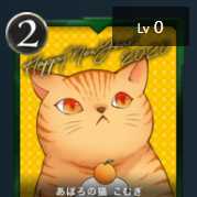 あぽろの猫　こむぎ