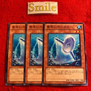 素早いマンボウ#2669