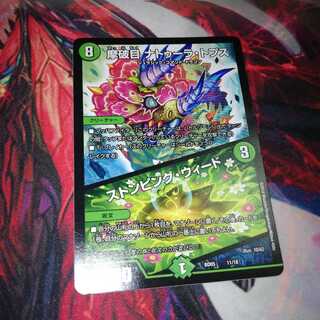 Mabaku-me Natura Tops｜Stomping Nettles