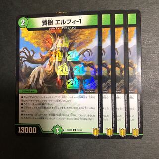 賢樹　エルフィ-1  4枚