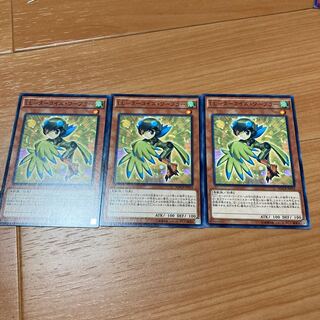 LL-ターコイズ・ワーブラー ノーマル