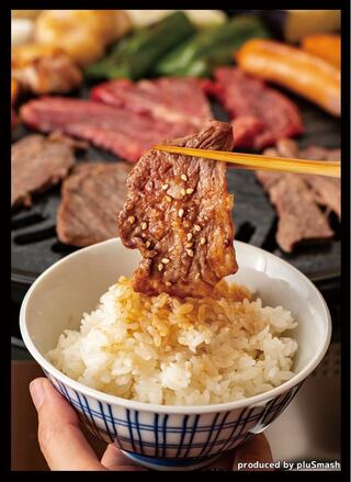 pluSmash!Yakiniku Sleeve Regular Size 60pcs [New, Unopened].