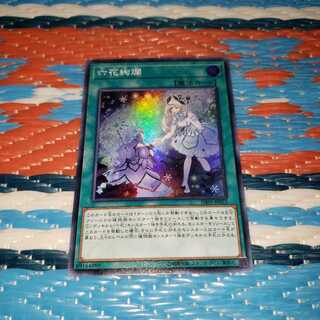 六花絢爛 スーパーレア