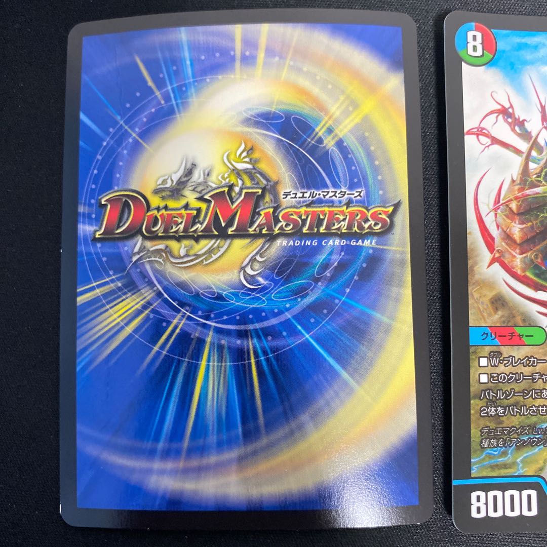 偽りの名 ゾルゲ