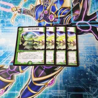 獅子王の遺跡 4枚