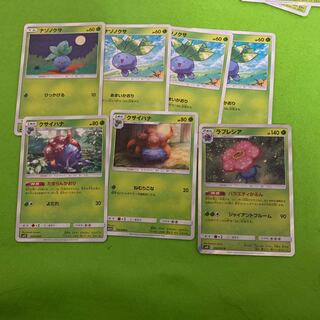 ナゾノクサ クサイハナ ラフレシア