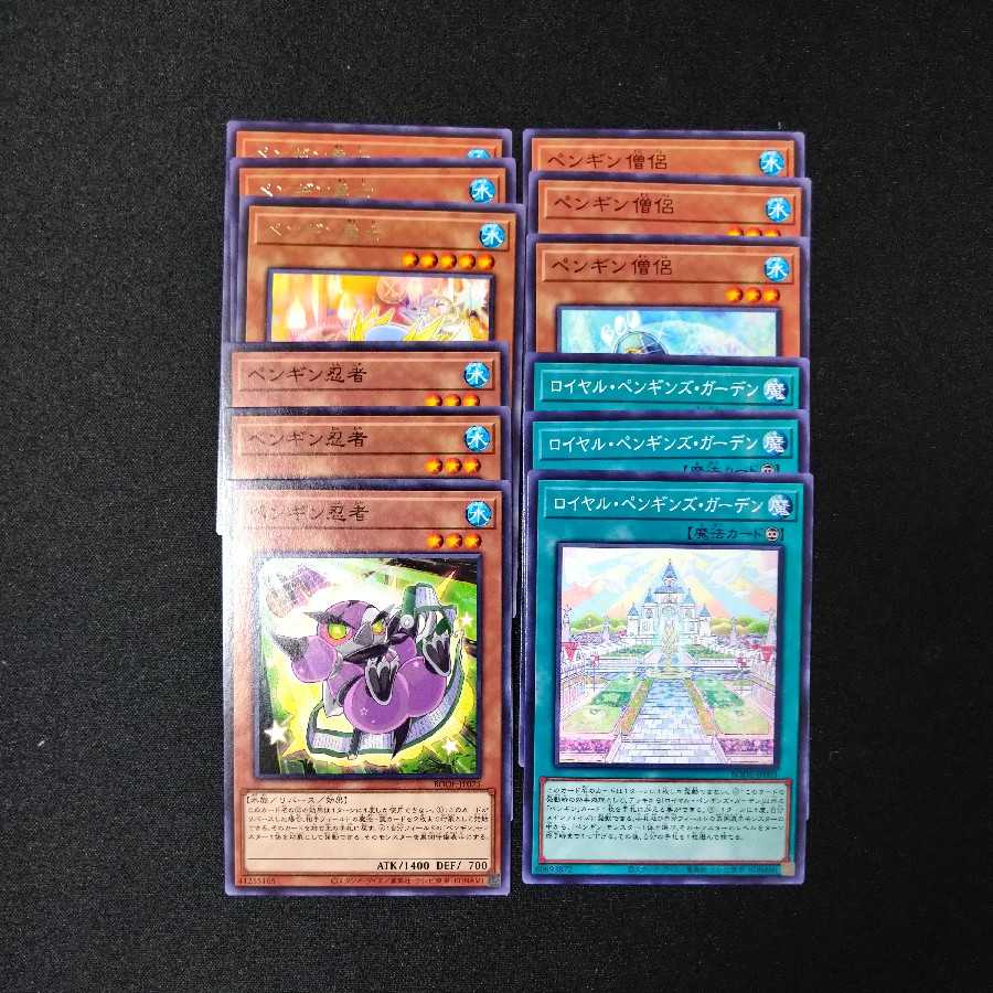 【専用】ペンギンカード+超自然警戒区域