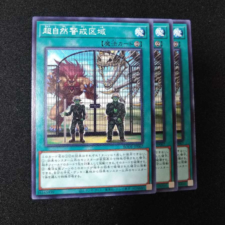 【専用】ペンギンカード+超自然警戒区域