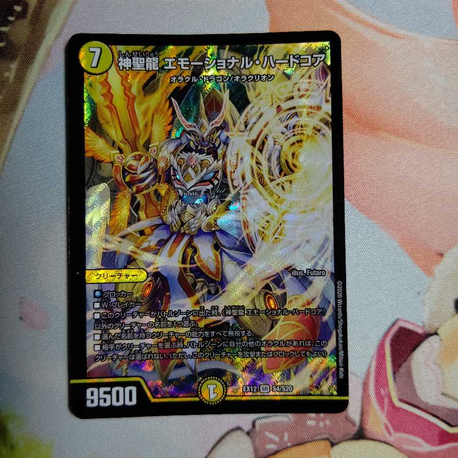 神聖龍 エモーショナル・ハードコア SR