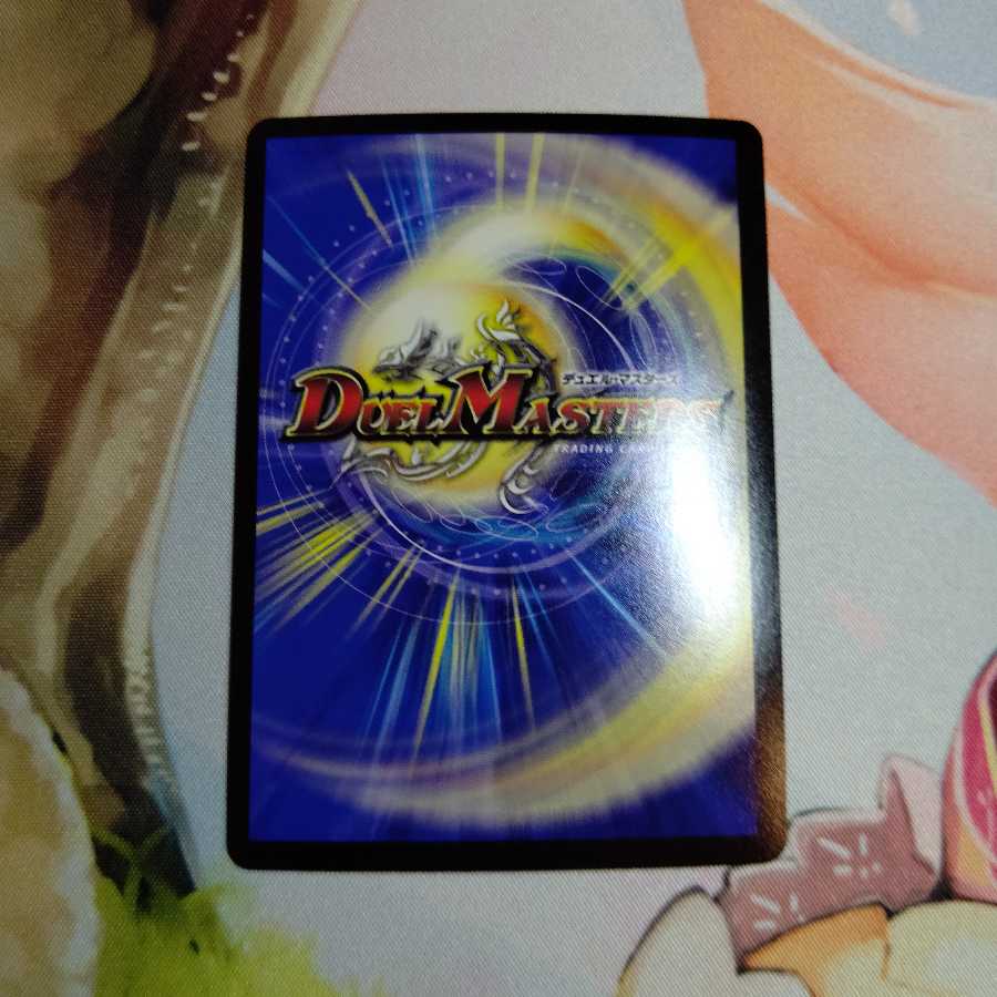 神聖龍 エモーショナル・ハードコア SR