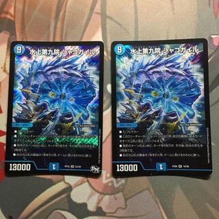 水上第九院 シャコガイル