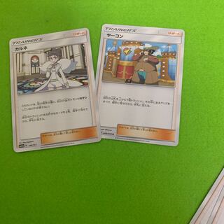 カルネ ヤーコン