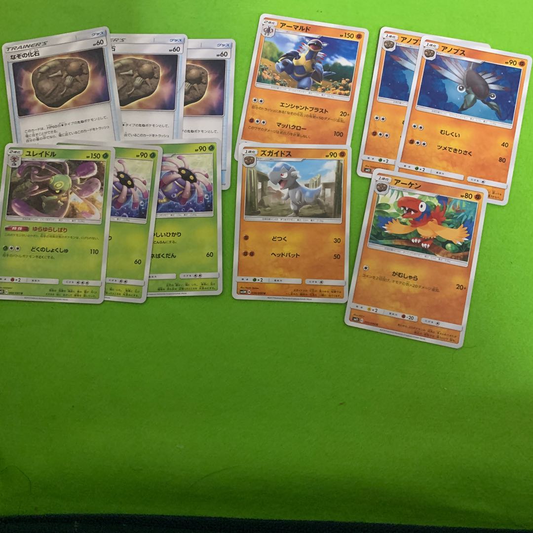 なぞの化石 そのた