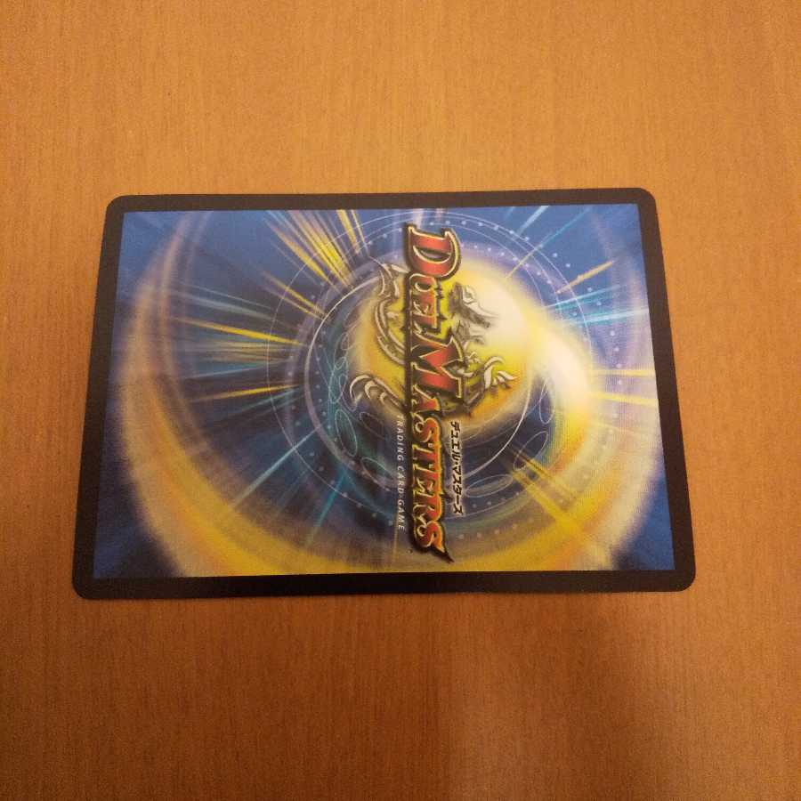 ソラ様専用 1枚