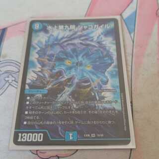 水上第九院 シャコガイル