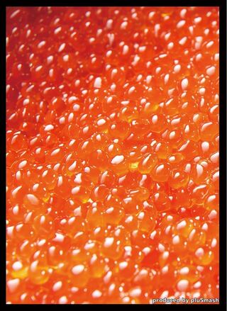 pluSmash!いくらスリーブ　レギュラーサイズ60枚入り【未開封新品】