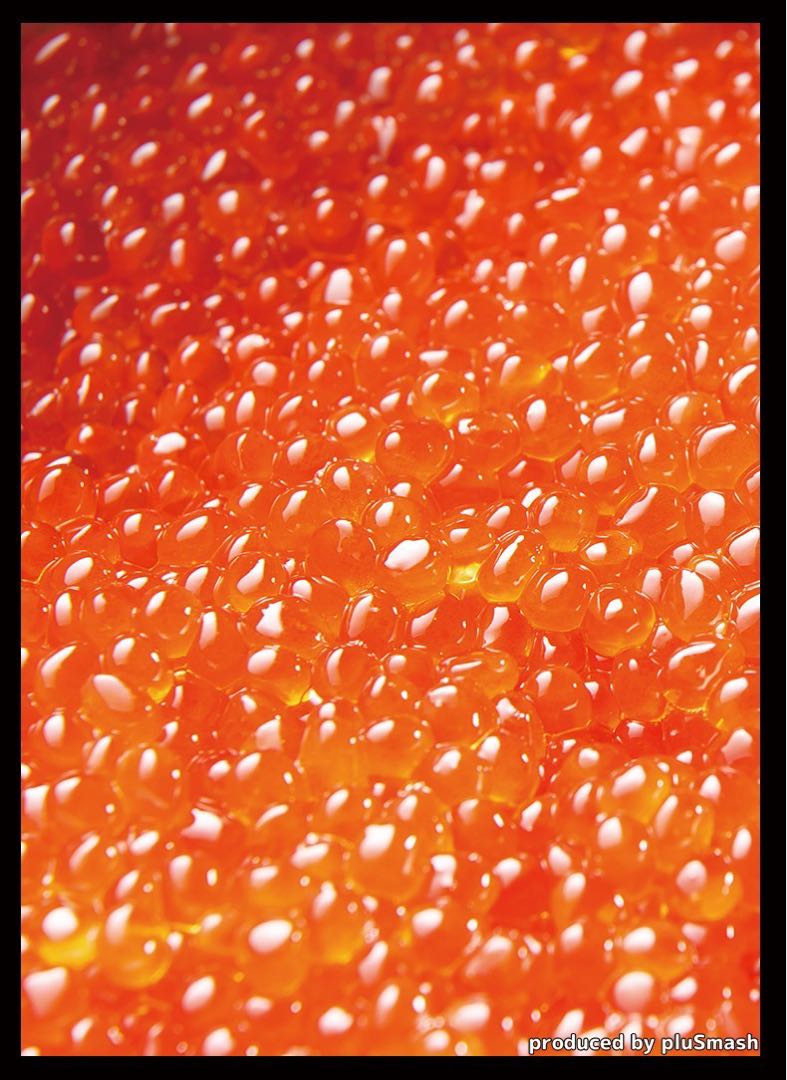 pluSmash!いくらスリーブ　レギュラーサイズ60枚入り【未開封新品】