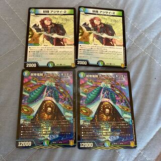 Hydrangea-2 Carper Kiritem