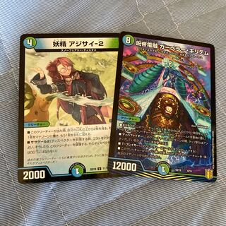 アジサイ-2 カーペラーキリテム