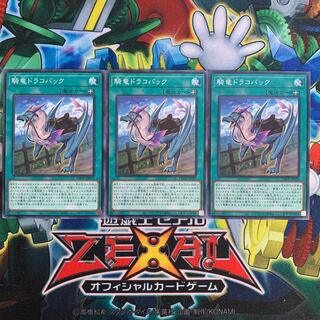 騎竜ドラコバック