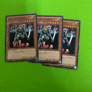 異次元の女戦士