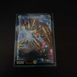 「雷光の聖騎士」