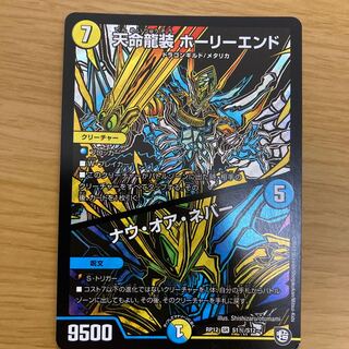 天命龍装 ホーリーエンド/ナウ・オア・ネバー