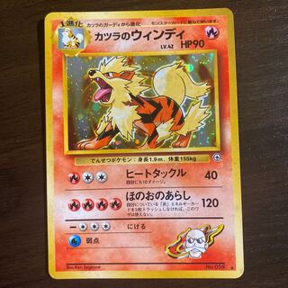 Windy, old back, marked