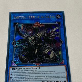 鎖龍蛇－スカルデット　フランス語版　EU版